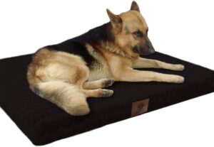 American Kennel Club Orthopedic Memory Foam