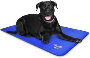 best dog cooling mat