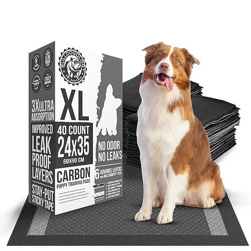 charcoal-dog-pads-xl-01