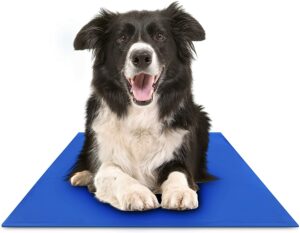 best dog cooling mat
