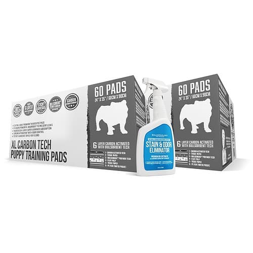 Carbon Pads XL Bundle Set (120-Count w/32oz)