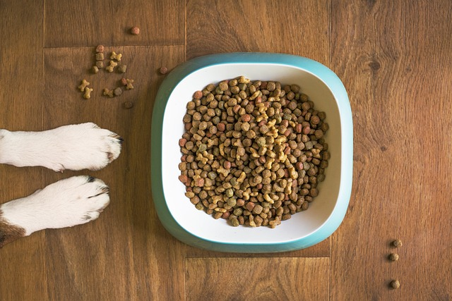 dog food, dog bowl, animal, is purina one a good dog food, purina one dog food