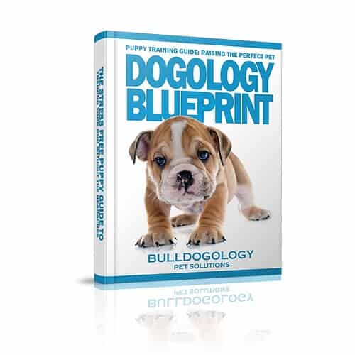 Dogology Blueprint Puppy Training Guide