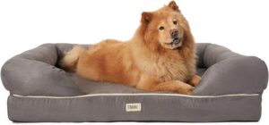 Friends Forever Memory Foam Orthopedic Dog Bed