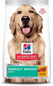 Hill's Science Diet Dry Dog