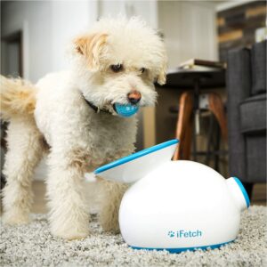iFetch Interactive Ball Launcher for Dogs