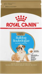 Royal Canin Bulldog Puppy Dry