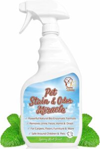 Sunny & Honey Pet Stain