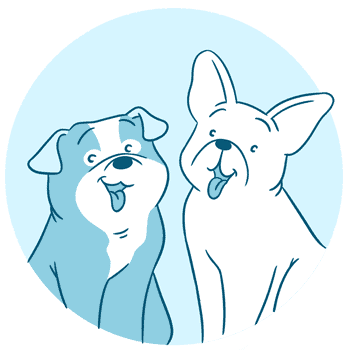 The Difference Between English bulldog and French