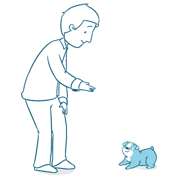 You Should Also Teach Them How To Lay Down