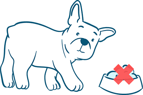 What Not to Include in the List if Dog Food for Bulldog