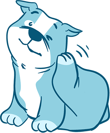 7 Most Common Bulldog Skin Problems