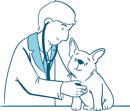 Visit a Vet Immediately if these Remedies Didn't Work