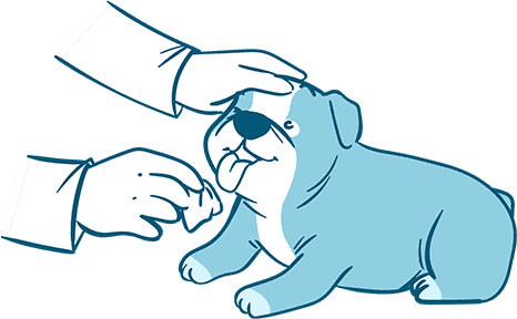 How to Clear Up Dog Tear Stains