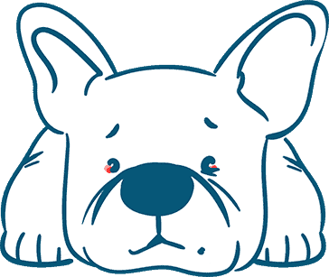 Common Bulldog Eye Problems and How to Avoid Them