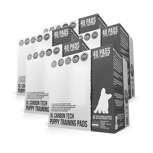 Premium Carbon Pads XL 5x (200-Count)