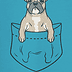 french bulldog pocket tshirt01