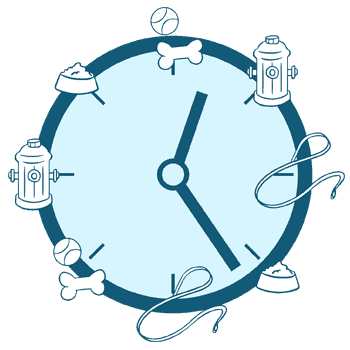 How Much Should a Bulldog Eat Each Day