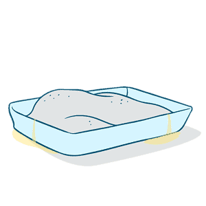 3. Wee Wee Pads for Cats Who Tend to Miss the Litter Box