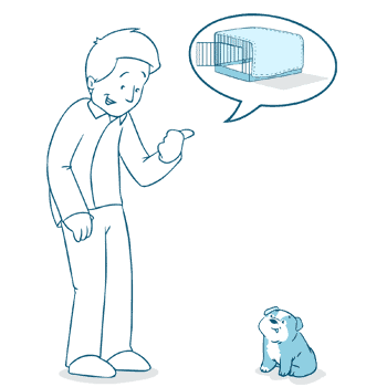 Proper Bulldog Training Tips