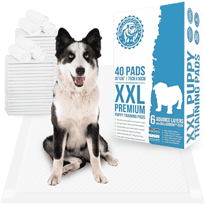 puppy pads xxl 30x36 01