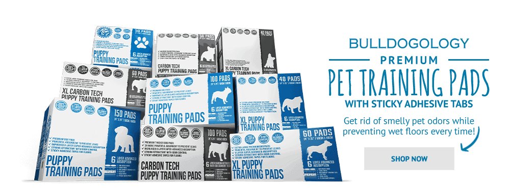 Try Bulldogology Premium Pet Training Pads Today!